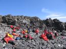 penguin island 018 * 2272 x 1704 * (1.32MB)